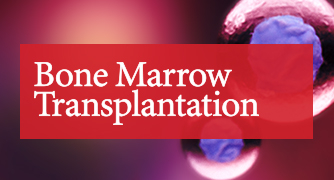 Bone Marrow Transplantation