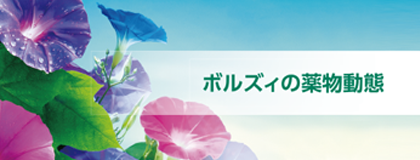 ボルズィ錠　特定項目製品情報概要　薬物動態リーフ